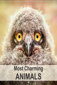 Most Charming Animals 2016