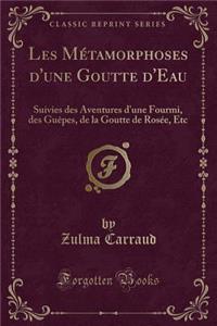 Les Métamorphoses d'Une Goutte d'Eau