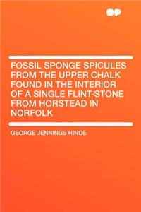 Fossil Sponge Spicules from the Upper Chalk Found in the Interior of a Single Flint-Stone from Horstead in Norfolk