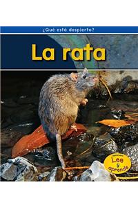 La Rata = Rats