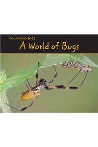 World of Bugs