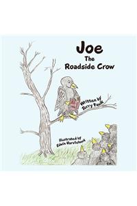 Joe The Roadside Crow
