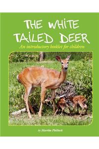 The White Tailed Deer