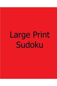 Large Print Sudoku