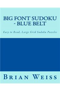 Big Font Sudoku - Blue Belt