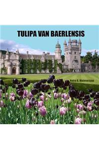 Tulipa van Baerlensis