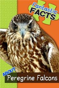 Fantastic Facts about Peregrine Falcons