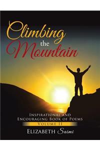 Climbing the Mountain