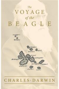 Voyage of the Beagle