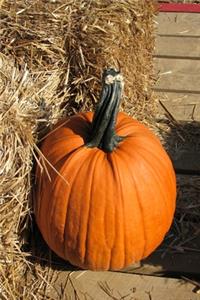 A Fall Orange Pumpkin Journal