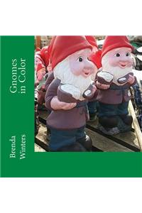 Gnomes in Color