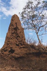 Termite Mound in Australia Journal