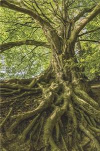 The Take Root Journal - Personal Growth