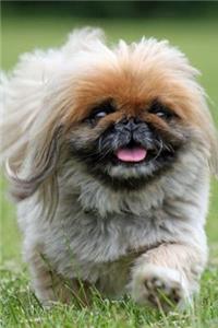 Cute Dog Journal