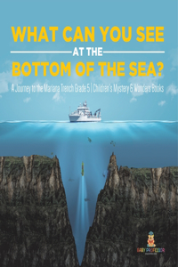 What Can You See at the Bottom of the Sea? a Journey into the Mariana