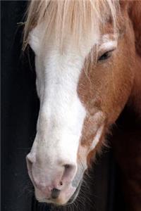 Close-Up of a Lovely Chestnut Horse with a White Face Journal