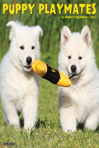 Puppy Playmates 2021 Wall Calendar