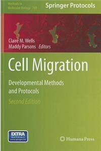 Cell Migration