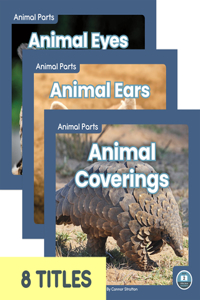 Animal Parts (Set of 8)