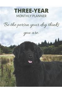 Three Year Monthly Planner Starting 2020 Agenda with Weekly Plan Space - Best Gift For Dog Owner - Funny Newfoundland Appointment Book for 2021 & 2022