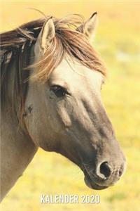 Kalender 2020