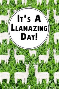 It's A Llamazing Day