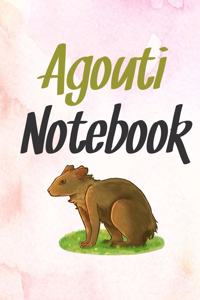 Agouti notebook