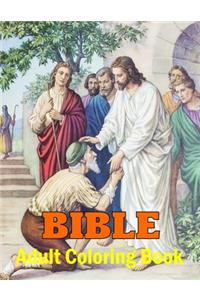 Bible Adult Coloring Book