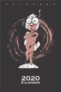 Nacktes geschorenes Schaf Kalender 2020