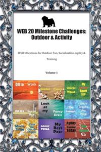 WEB 20 Milestone Challenges