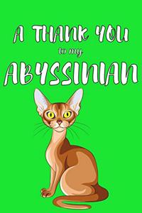 A Thank You To My Abyssian