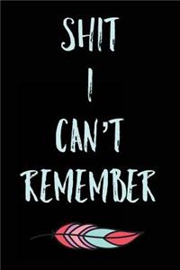 Shit I Can't Remember