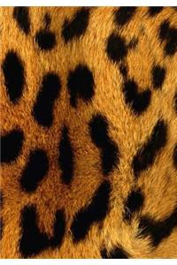 Leopard Skin Diary