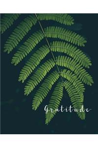 Gratitude