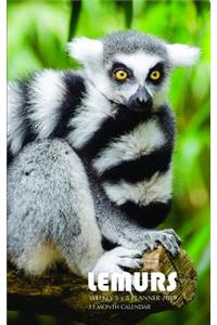 Lemurs Weekly 5 X 8 Planner 2019