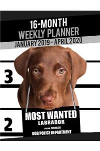 2019-2020 Weekly Planner - Most Wanted Labrador