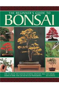 Beginner's Guide to Bonsai