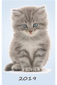Cat Daily Planner 2019