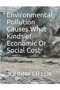 Environmental Pollution Causes What Kinds of Economic Or Social Cost