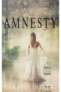 Amnesty