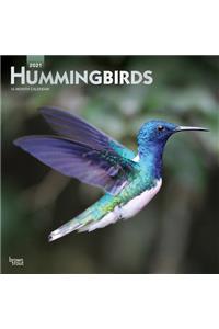 Hummingbirds 2021 Square Foil