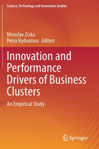 Innovation and Performance Drivers of Business Clusters