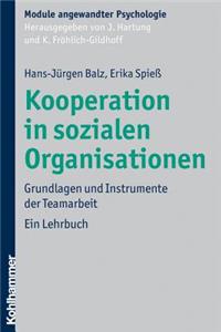 Kooperation in Sozialen Organisationen