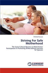 Striving for Safe Motherhood