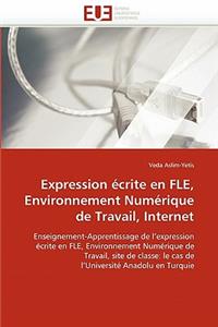 Expression Écrite En Fle, Environnement Numérique de Travail, Internet