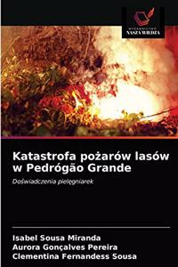Katastrofa po&#380;arów lasów w Pedrógão Grande
