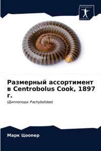 Размерный ассортимент в Centrobolus Cook, 1897 г.