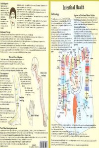 Intestinal Health -- Double Sided A4