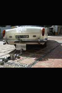 Witchcraft Love Twist