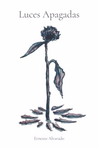 Luces Apagadas
